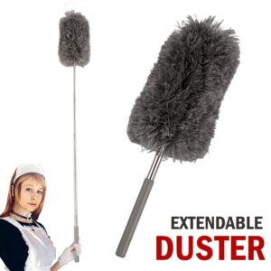 Extendable Microfiber Dusting Feather Brush