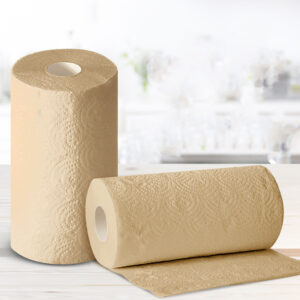 Kitchen Absorbent Paper Towel