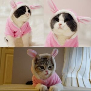 Pet Cat Clothes Mascotas Costume Clothes For Pet Hoodies Cute Rabbit Cat Clothing Puppy Fleece Warm Pet Cat Jacket (Pet Costumes)