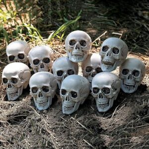 Bulk Skeleton Skulls (12 Pack)