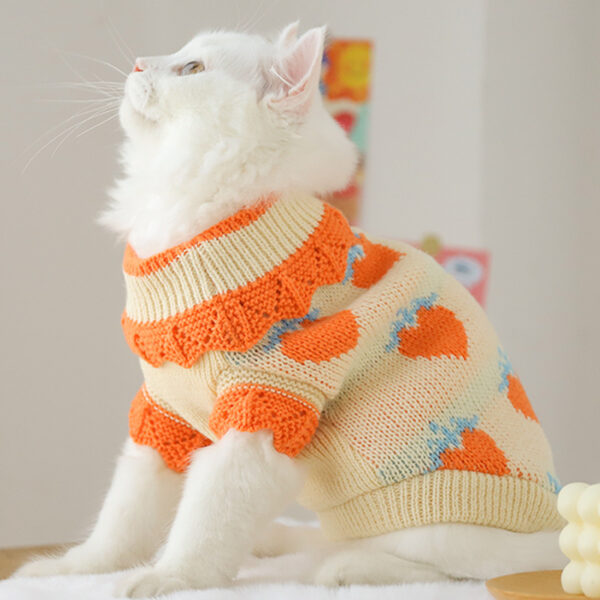 Cat Clothes For Fall Kittens To Prevent Shedding (Pet Costumes)